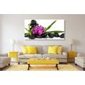 CANVAS PRINT PURPLE ORCHID IN A ZEN STILL LIFE - PICTURES FENG SHUI - PICTURES