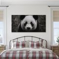 WANDBILD LÄCHELNDER SCHWARZ-WEISSER PANDA - BILDER TIERE - BILDER
