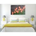 CANVAS PRINT CHARMING ORANGE TULIPS ON A WOODEN BACKGROUND - PICTURES FLOWERS - PICTURES