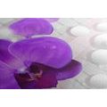 CANVAS PRINT ORCHID ON AN ABSTRACT BACKGROUND - PICTURES FLOWERS - PICTURES