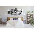 5-PIECE CANVAS PRINT BEAUTIFUL INTERPLAY OF STONES AND ORCHIDS IN BLACK AND WHITE - BLACK AND WHITE PICTURES - PICTURES