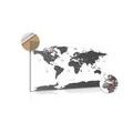 DECORATIVE PINBOARD WORLD MAP WITH INDIVIDUAL STATES IN GRAY COLOR - PICTURES ON CORK - PICTURES