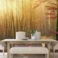 SELF ADHESIVE WALL MURAL PATH TO THE FOREST - SELF-ADHESIVE WALLPAPERS - WALLPAPERS