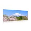 CANVAS PRINT MOUNT FUJI - PICTURES OF NATURE AND LANDSCAPE - PICTURES