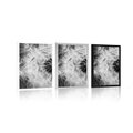 POSTER DANDELION SEED IN BLACK AND WHITE - BLACK AND WHITE - POSTERS