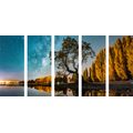 5-PIECE CANVAS PRINT TREE UNDER A STARRY SKY - PICTURES OF NATURE AND LANDSCAPE - PICTURES