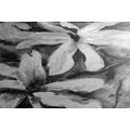 CANVAS PRINT BLOOMING WATERCOLOR TREE IN BLACK AND WHITE - BLACK AND WHITE PICTURES - PICTURES