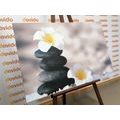 CANVAS PRINT HARMONIOUS STONES AND PLUMERIA FLOWER - PICTURES FENG SHUI - PICTURES