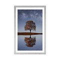 POSTER WITH MOUNT STARRY SKY ABOVE A LONELY TREE - NATURE - POSTERS