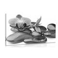 CANVAS PRINT MASSAGE WELLNESS STONES IN BLACK AND WHITE - BLACK AND WHITE PICTURES - PICTURES