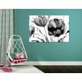 CANVAS PRINT BEAUTIFUL TULIPS IN AN INTERESTING DESIGN IN BLACK AND WHITE - BLACK AND WHITE PICTURES - PICTURES