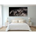 CANVAS PRINT THREE GALLOPING HORSES - PICTURES OF ANIMALS{% if product.category.pathNames[0] != product.category.name %} - PICTURES{% endif %}