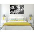 CANVAS PRINT DAISIES IN A GARDEN IN BLACK AND WHITE - BLACK AND WHITE PICTURES{% if product.category.pathNames[0] != product.category.name %} - PICTURES{% endif %}