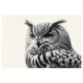 WANDBILD SCHWARZ-WEISSES EULENPORTRÄT - BILDER VON VÖGELN - BILDER
