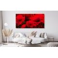 CANVAS PRINT BEAUTIFUL FIELD OF POPPIES - PICTURES FLOWERS - PICTURES
