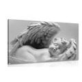 CANVAS PRINT SMALL ANGEL IN BLACK AND WHITE - BLACK AND WHITE PICTURES - PICTURES