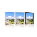 POSTER MOUNT FUJI - NATURE - POSTERS