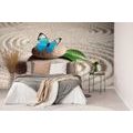 WALL MURAL BLUE BUTTERFLY ON A ZEN STONE - WALLPAPERS FENG SHUI - WALLPAPERS