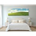 CANVAS PRINT BEAUTIFUL DAY ON THE MEADOW - PICTURES OF NATURE AND LANDSCAPE - PICTURES