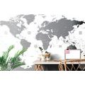 SELF ADHESIVE WALLPAPER WORLD MAP WITH INDIVIDUAL STATES IN GRAY COLOR - SELF-ADHESIVE WALLPAPERS - WALLPAPERS