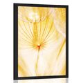 POSTER DANDELION IN YELLOW DESIGN - FLOWERS - POSTERS