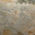 QUADRO SU TELA – ULIVO IN VASO - STAMPE E QUADRI - 🔥 SVENDITA TOTALE