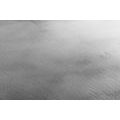 CANVAS PRINT BLACK AND WHITE MISTY FOREST - BLACK AND WHITE PICTURES - PICTURES