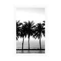 POSTER SUNSET OVER PALM TREES IN BLACK AND WHITE - BLACK AND WHITE - POSTERS