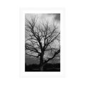 POSTER WITH MOUNT BLACK AND WHITE TREE ON THE MEADOW - BLACK AND WHITE - POSTERS