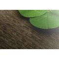 CANVAS PRINT HAPPY FOUR-LEAF CLOVER - STILL LIFE PICTURES - PICTURES