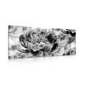 CANVAS PRINT PEONIES IN BLACK AND WHITE - BLACK AND WHITE PICTURES - PICTURES