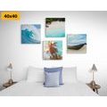 CANVAS PRINT SET TOUCH OF THE SEA - SET OF PICTURES - PICTURES