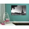 CANVAS PRINT AUTUMN PARIS IN BLACK AND WHITE - BLACK AND WHITE PICTURES - PICTURES