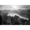 CANVAS PRINT RIVER IN THE MIDDLE OF THE FOREST IN BLACK AND WHITE - BLACK AND WHITE PICTURES - PICTURES