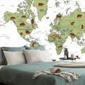 SELF ADHESIVE WALLPAPER MAP WITH ANIMALS - SELF-ADHESIVE WALLPAPERS - WALLPAPERS