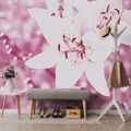 SELF ADHESIVE WALL MURAL LILY IN A PINK DRESS - SELF-ADHESIVE WALLPAPERS - WALLPAPERS