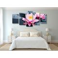 5-PIECE CANVAS PRINT LOTUS FLOWER IN A LAKE - PICTURES FENG SHUI - PICTURES