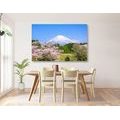 CANVAS PRINT FUJI VOLCANO - PICTURES OF NATURE AND LANDSCAPE - PICTURES