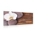 WANDBILD WELLNESS-STEINE UND ORCHIDEE AUF HÖLZERNEM HINTERGRUND - BILDER MIT FENG SHUI-MOTIVEN - BILDER