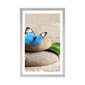 POSTER WITH MOUNT BLUE BUTTERFLY ON A ZEN STONE - FENG SHUI - POSTERS