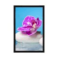 POSTER ORCHID AND ZEN STONES - FENG SHUI - POSTERS