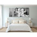 5-PIECE CANVAS PRINT ANGEL STATUES ON A BENCH IN BLACK AND WHITE - BLACK AND WHITE PICTURES - PICTURES