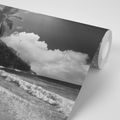 SELF ADHESIVE WALL MURAL BEACH ON THE ISLAND OF SEYCHELLES IN BLACK AND WHITE - SELF-ADHESIVE WALLPAPERS - WALLPAPERS