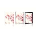 POSTER PINK CHERRY BLOSSOMS - FLOWERS - POSTERS