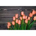 FOTOTAPETE ORANGE TULPEN AUF HÖLZERNEM HINTERGRUND - TAPETEN MIT BLUMENMOTIVEN - TAPETEN