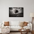 WANDBILD LEBENSBAUM IM STURM - HALLOWEEN- UND HORROR-BILDER - BILDER