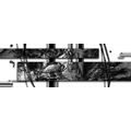 CANVAS PRINT LUXURIOUS ABSTRACTION IN BLACK AND WHITE - BLACK AND WHITE PICTURES - PICTURES