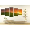 TABLEAU EN 5 PARTIES – ARBRE SUR LA PRAIRIE - TABLEAUX DE LA NATURE ET DES PAYSAGES - TABLEAUX