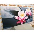 TABLOU FLOARE DE LOTUS PE LAC - TABLOU FLORI - TABLOURI