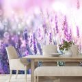 SELF ADHESIVE WALL MURAL MAGICAL LAVENDER FLOWERS - SELF-ADHESIVE WALLPAPERS - WALLPAPERS